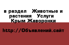  в раздел : Животные и растения » Услуги . Крым,Жаворонки